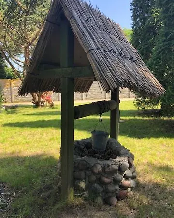 Maxi - * Mielenko