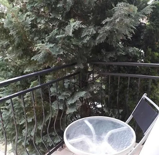 Maxi - * ミエレンコ