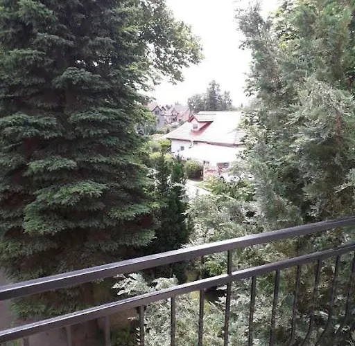 Maxi - * ミエレンコ