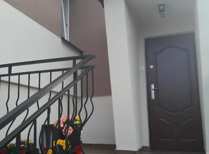 Maxi - ミエレンコ