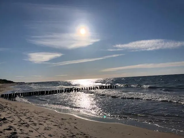 Maxi - ミエレンコ